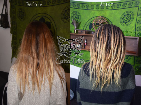 Dreaderstellung, neue Dreads in Berlin 025 (66 Dreads ohne Extensions)