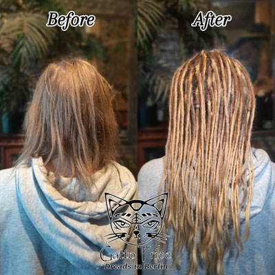 Dreaderstellung, neue Dreads in Berlin 075