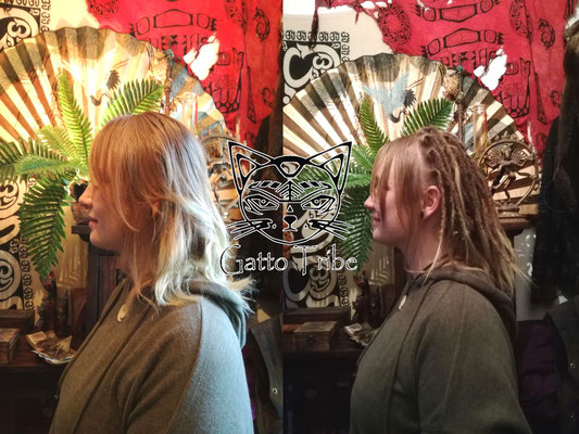 Dreaderstellung, neue Dreads in Berlin 005 (53 Dreads mit Extensions)