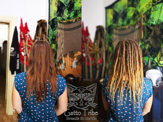 Dreaderstellung, neue Dreads in Berlin 047 ( 48 Dreads mit Extensions)