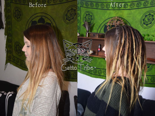 Dreaderstellung, neue Dreads in Berlin 026 (66 Dreads ohne Extensions)