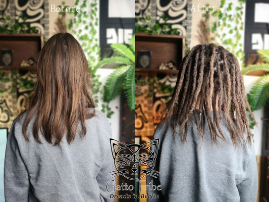 Dreaderstellung, neue Dreads in Berlin 059 ( 46 Dreads ohne Extensions)