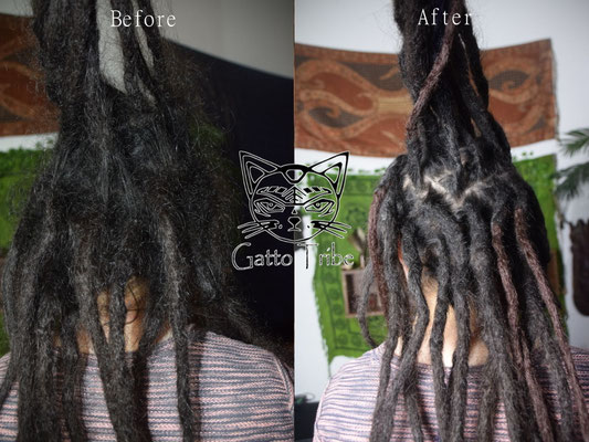 Dreadpflege Ansatzpflege in Berlin 025 (Aus 30 Dreads 44 gemacht. gespalten, mit Extensions verlängert)