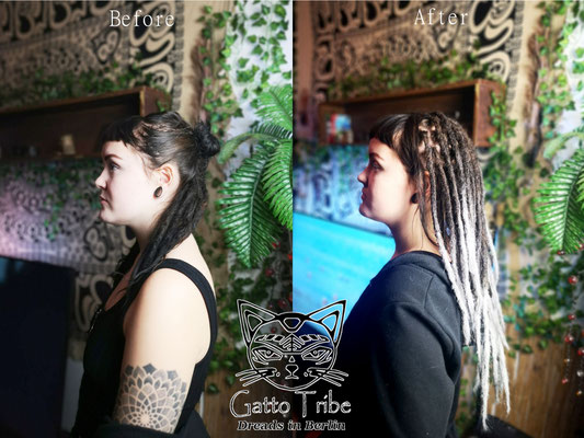 Dreaderstellung, neue Dreads in Berlin 057 ( 38 Dreads mit Extensions)