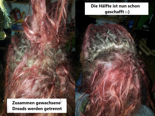 Dreadpflege Ansatzpflege in Berlin 009