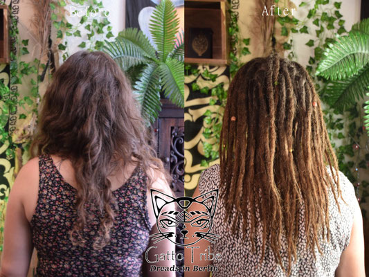 Dreaderstellung, neue Dreads in Berlin 037 (48 Dreads mit Extensions)