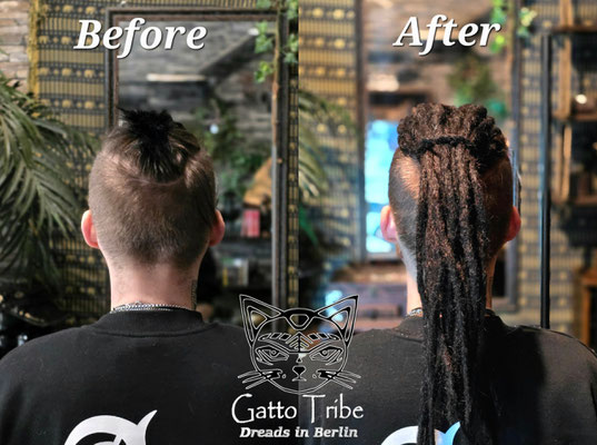 Dreaderstellung, neue Dreads in Berlin 081 (20 Dreads)