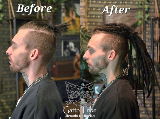 Dreaderstellung, neue Dreads in Berlin 083 (20 Dreads)