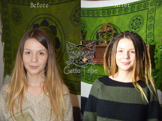 Dreaderstellung, neue Dreads in Berlin 027 (66 Dreads ohne Extensions)