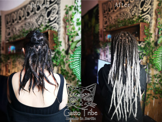Dreaderstellung, neue Dreads in Berlin 056 ( 38 Dreads mit Extensions)
