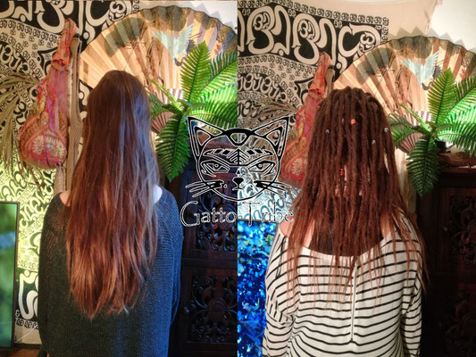 Dreaderstellung, neue Dreads in Berlin 001 (52 Dreads ohne Extensions)