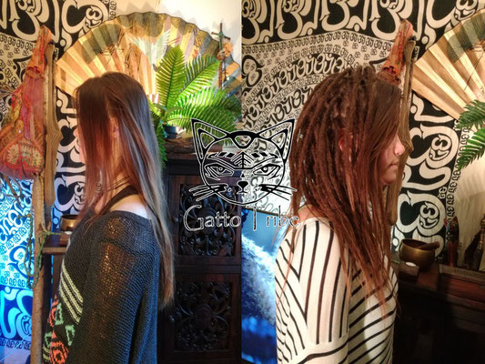 Dreaderstellung, neue Dreads in Berlin 002 (52 Dreads ohne Extensions)