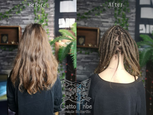 Dreaderstellung, neue Dreads in Berlin 063 ( 41 Dreads ohne Extensions)