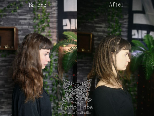 Dreaderstellung, neue Dreads in Berlin 064 ( 41 Dreads ohne Extensions)