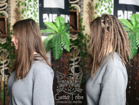 Dreaderstellung, neue Dreads in Berlin 060 ( 46 Dreads ohne Extensions)