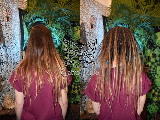 Dreaderstellung, neue Dreads in Berlin 007 (59 Dreads mit Extensions)
