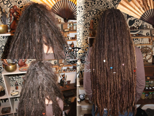 Dreadpflege Ansatzpflege in Berlin 016 XXL