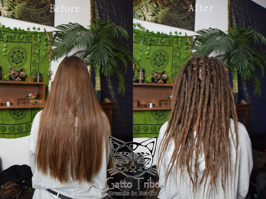 Dreaderstellung, neue Dreads in Berlin 053 ( 39 Dreads ohne Extensions)