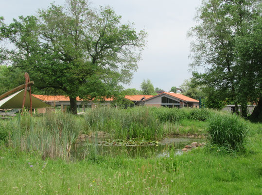 Teich