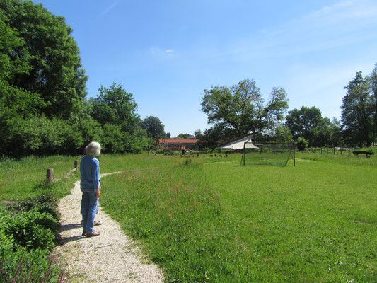 Auf der Wiese