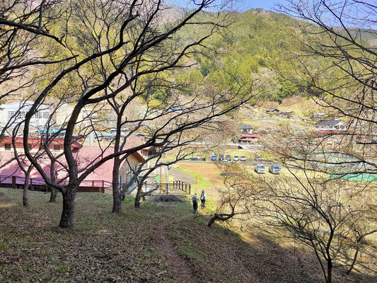 更に尾根を歩いてびりゅう館に戻りました