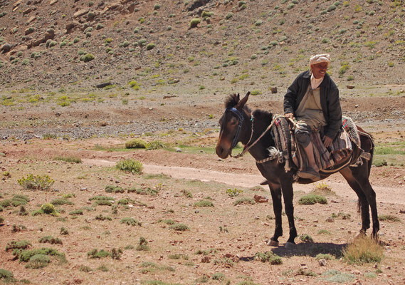 Mulireiter in der Dades-Schlucht