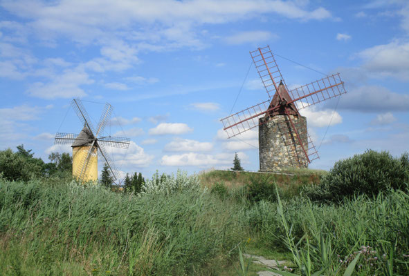 Mühlenmuseum Gifhorn