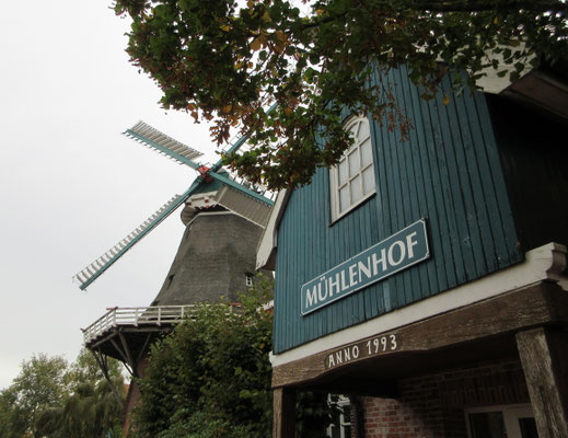 Großefenn