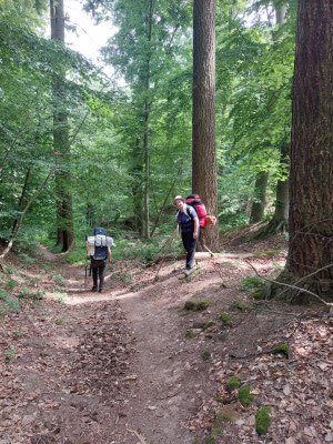 auf dem Weg zum Ziel