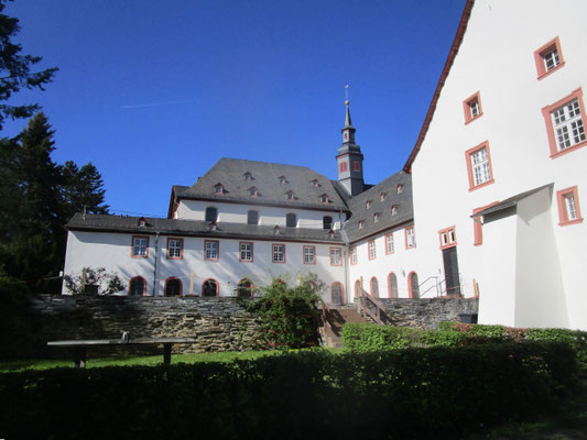 im Steigerwald