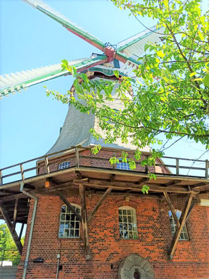 Mühle an der Elbe