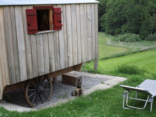 Schäferwagen bei Wolfsegg