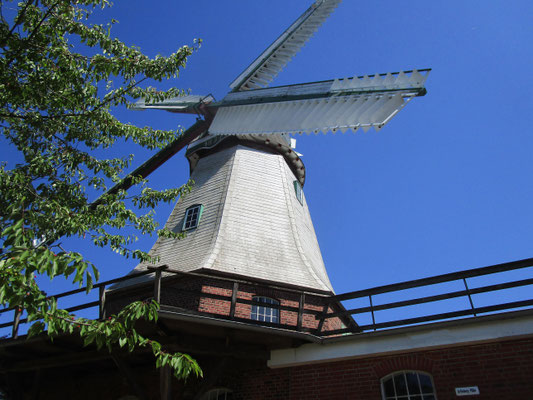 Mühle bei Lauenburg