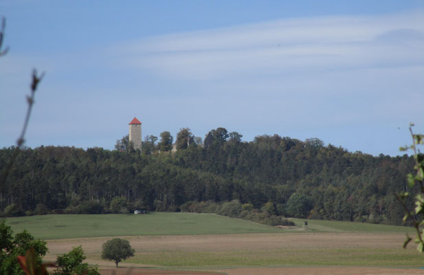 Ruine Lichtenburg v. d. Rhön 2005