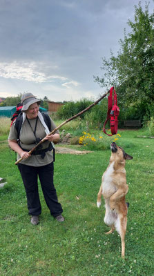 Spielen im Garten