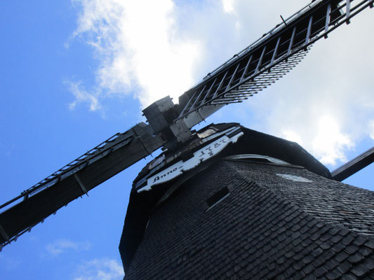 älteste Mühle auf Fehmarn