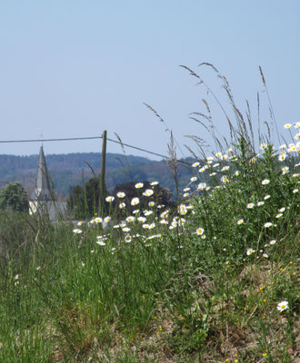 Blick Kirche Hohkeppel