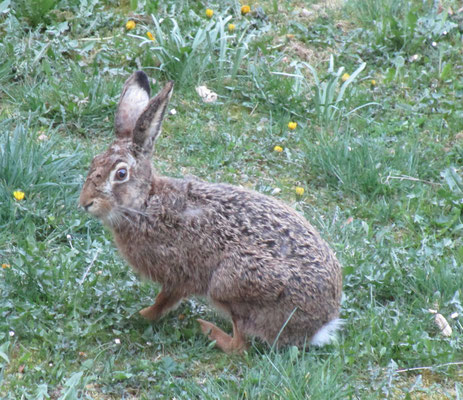 Hause zu früh auf Karfreitag