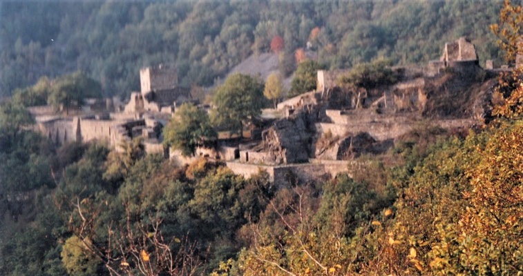 Schmidtburg 2005