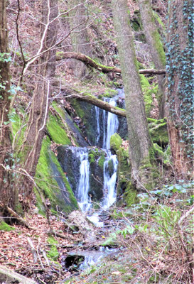 Pulsbachklamm