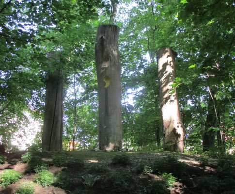Herzensohr
