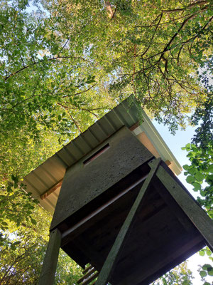 Übernachtungsquatier im Wald