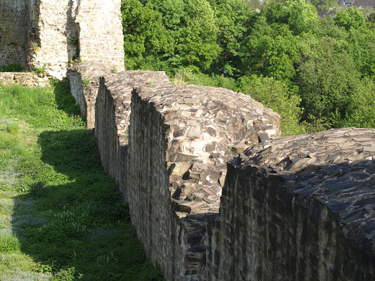 Reste Palais