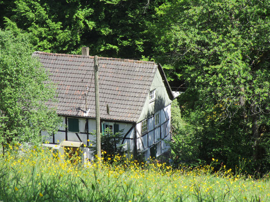 Mühle Nähe Dühnntalsperrre