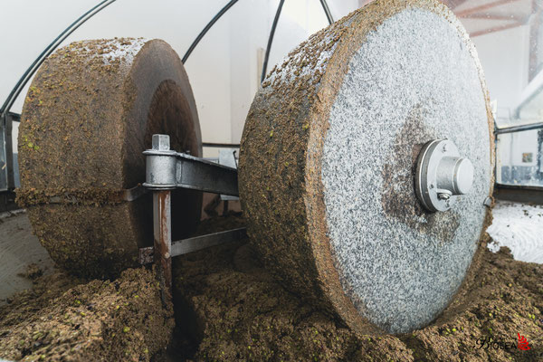 Die Steinmühle zermahlt die Oliven zu einer weichen, öligen Paste