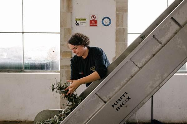 Chloe Dimiriadis Inh. von BIOLEA Olivenöl