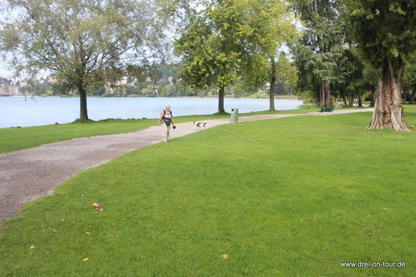 Der Uferweg führt auch durch einen Park