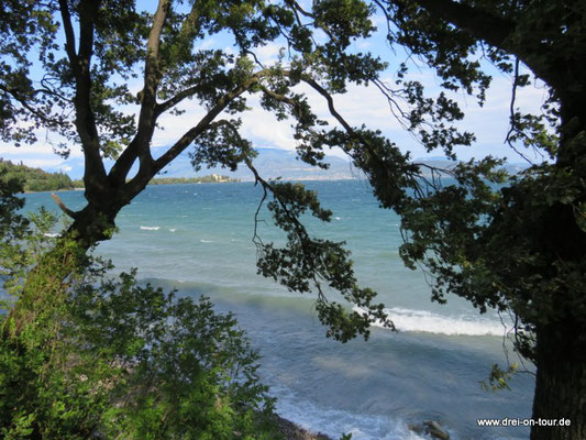 Aussicht vom Hundestrand