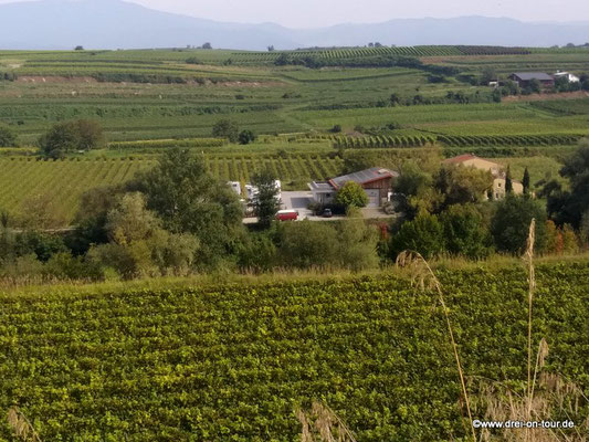 Blick von oberen Weinhanglagen auf den Platz