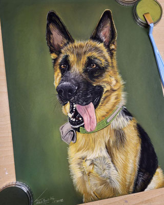Auftragsarbeit- 08.2022 - Cilly- 30x40cm